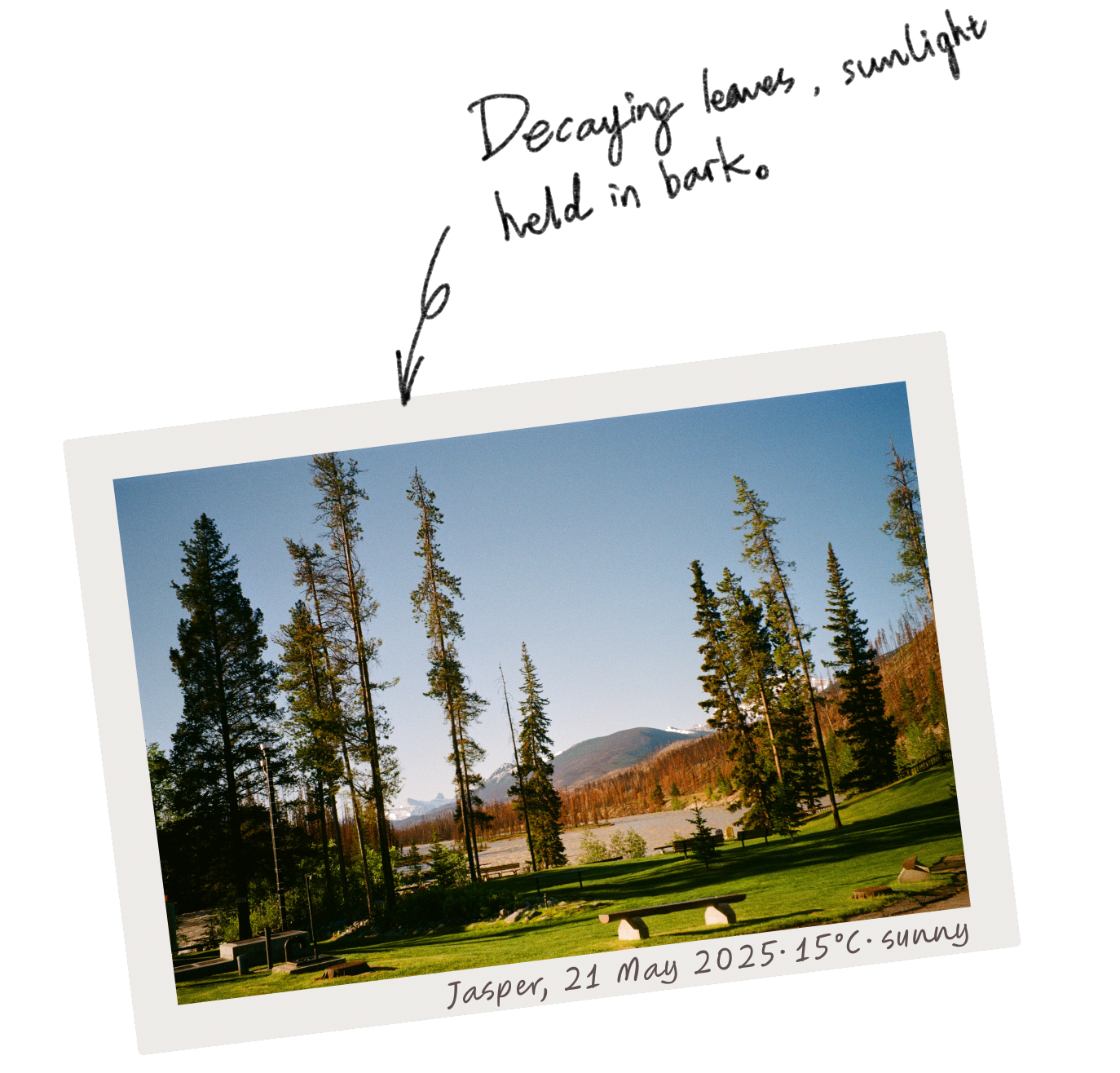 Jasper landscape