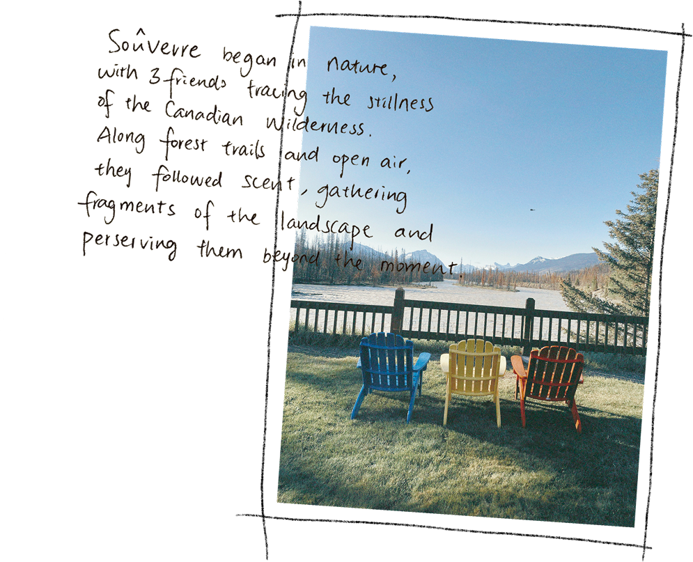 Chairs — Jasper